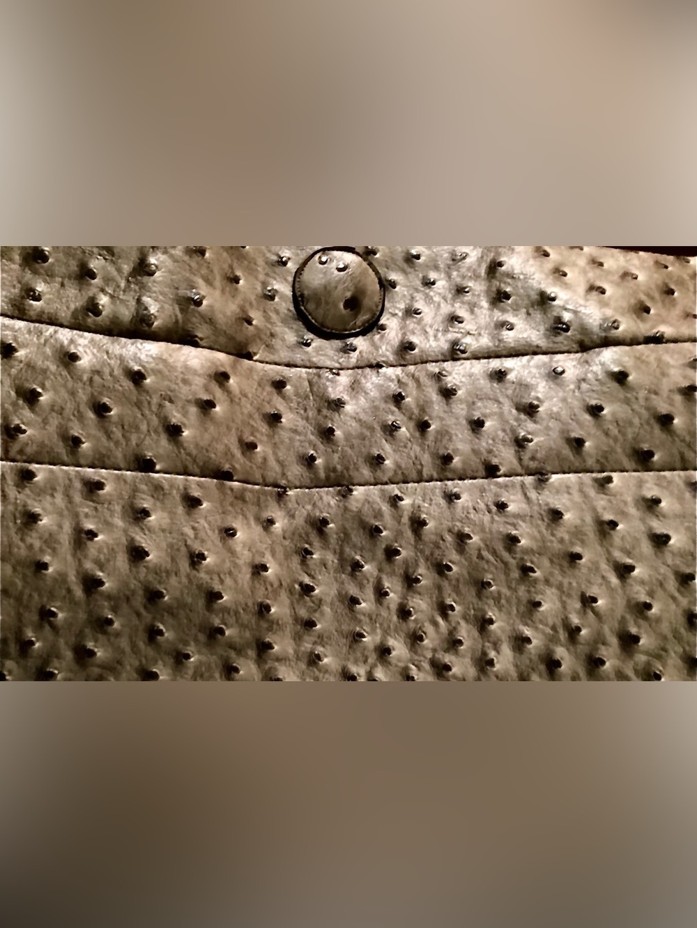 genuine ostrich leather bag